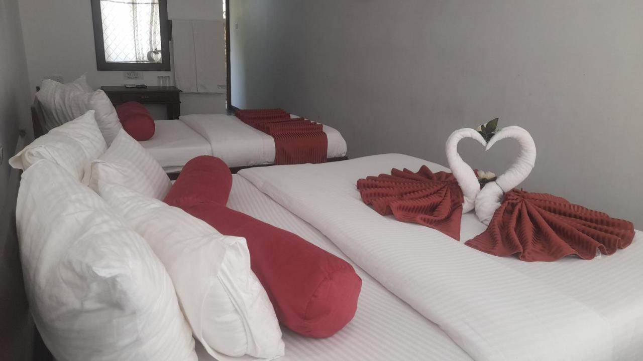 Discovery Retreat Blackwood ฮาปูตาเล ภายนอก รูปภาพ