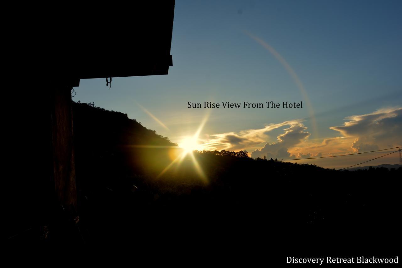 Discovery Retreat Blackwood ฮาปูตาเล ภายนอก รูปภาพ
