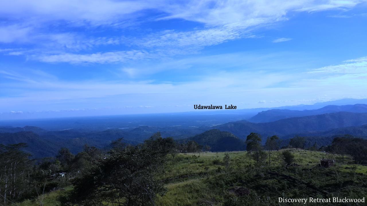 Discovery Retreat Blackwood ฮาปูตาเล ภายนอก รูปภาพ