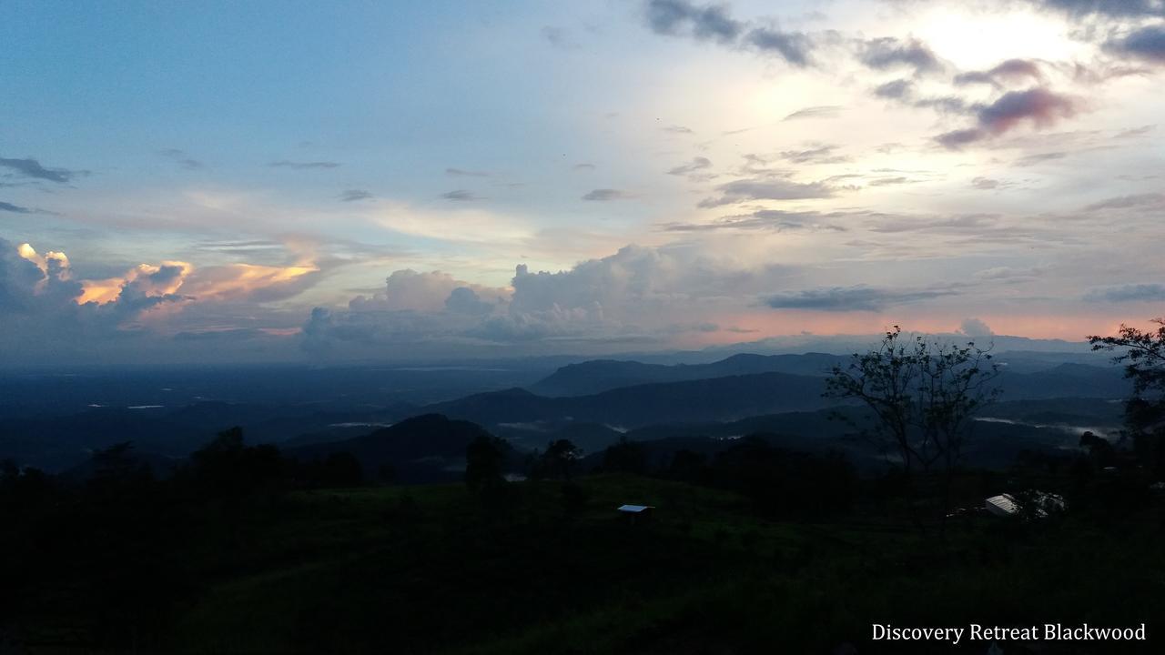 Discovery Retreat Blackwood ฮาปูตาเล ภายนอก รูปภาพ